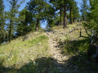 Trail starts to climb steeply, Mount Eneas 2011-08.